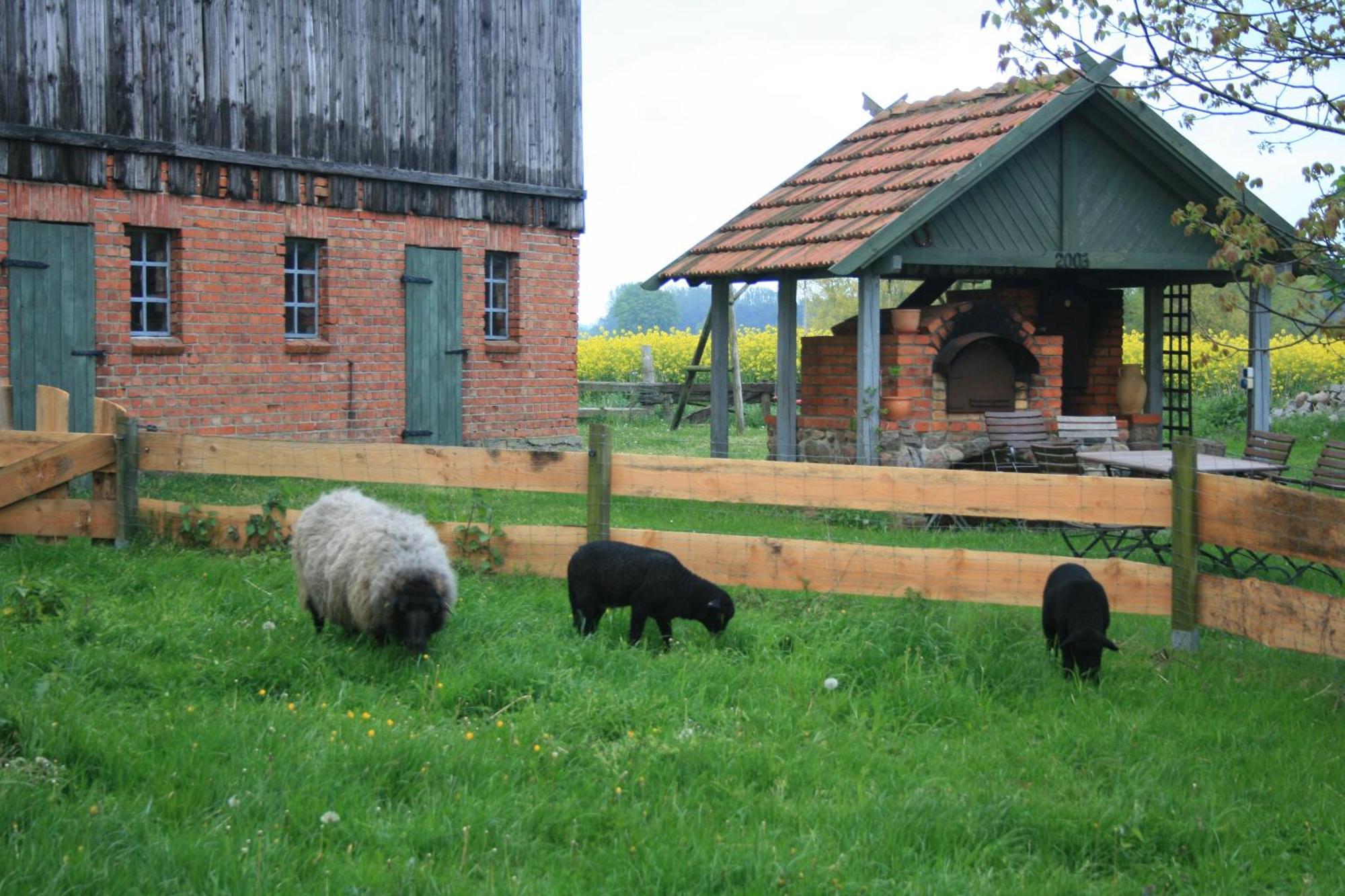 Ostseestuev Boiensdorf Quarto foto